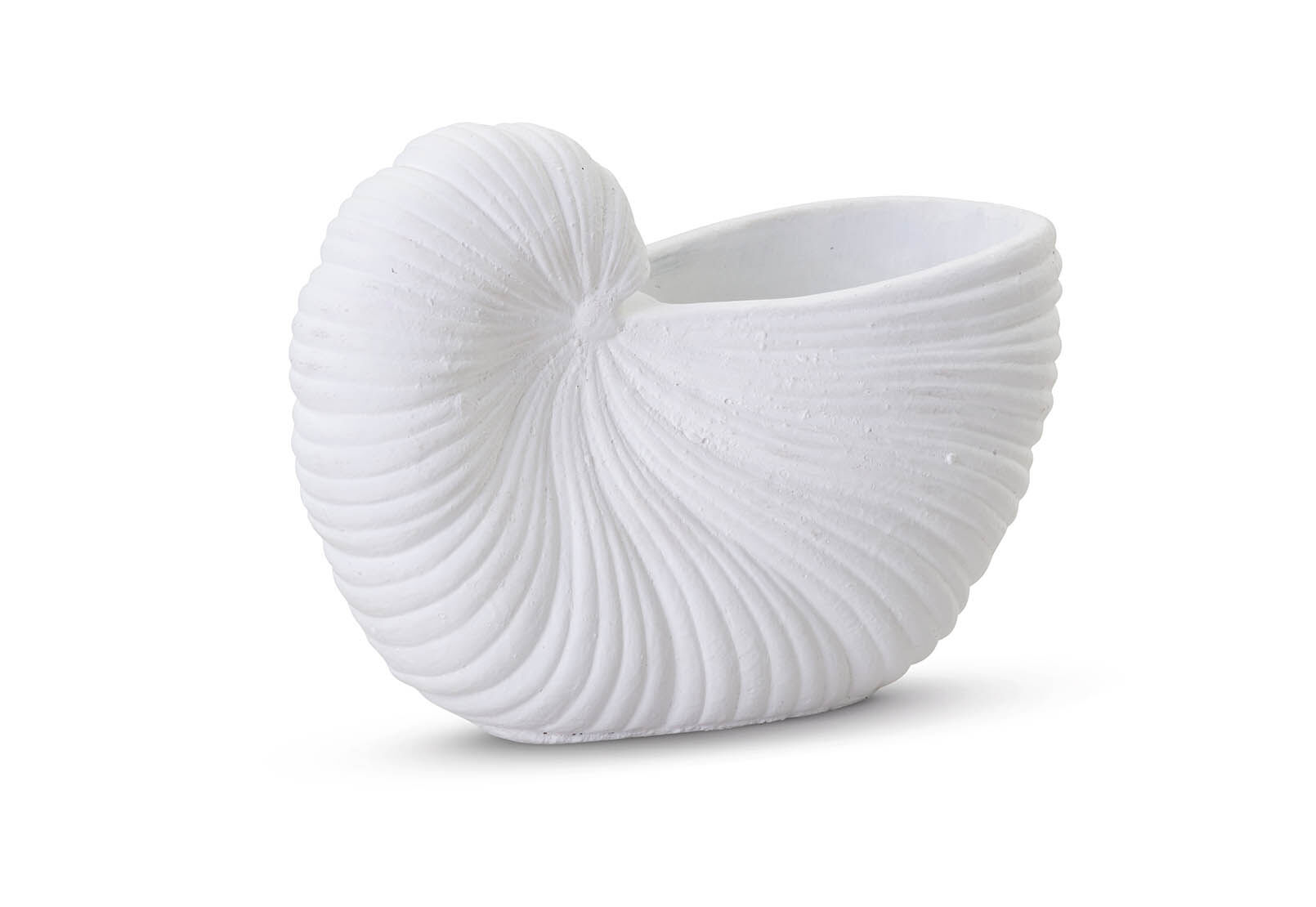 SEASHELL - 14.5x21cm Planter SEASHELL