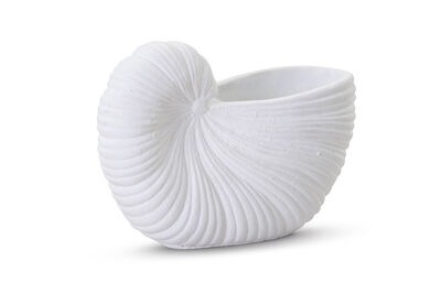 SEASHELL - 14.5x21cm Planter