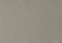 DACIA LEATHER