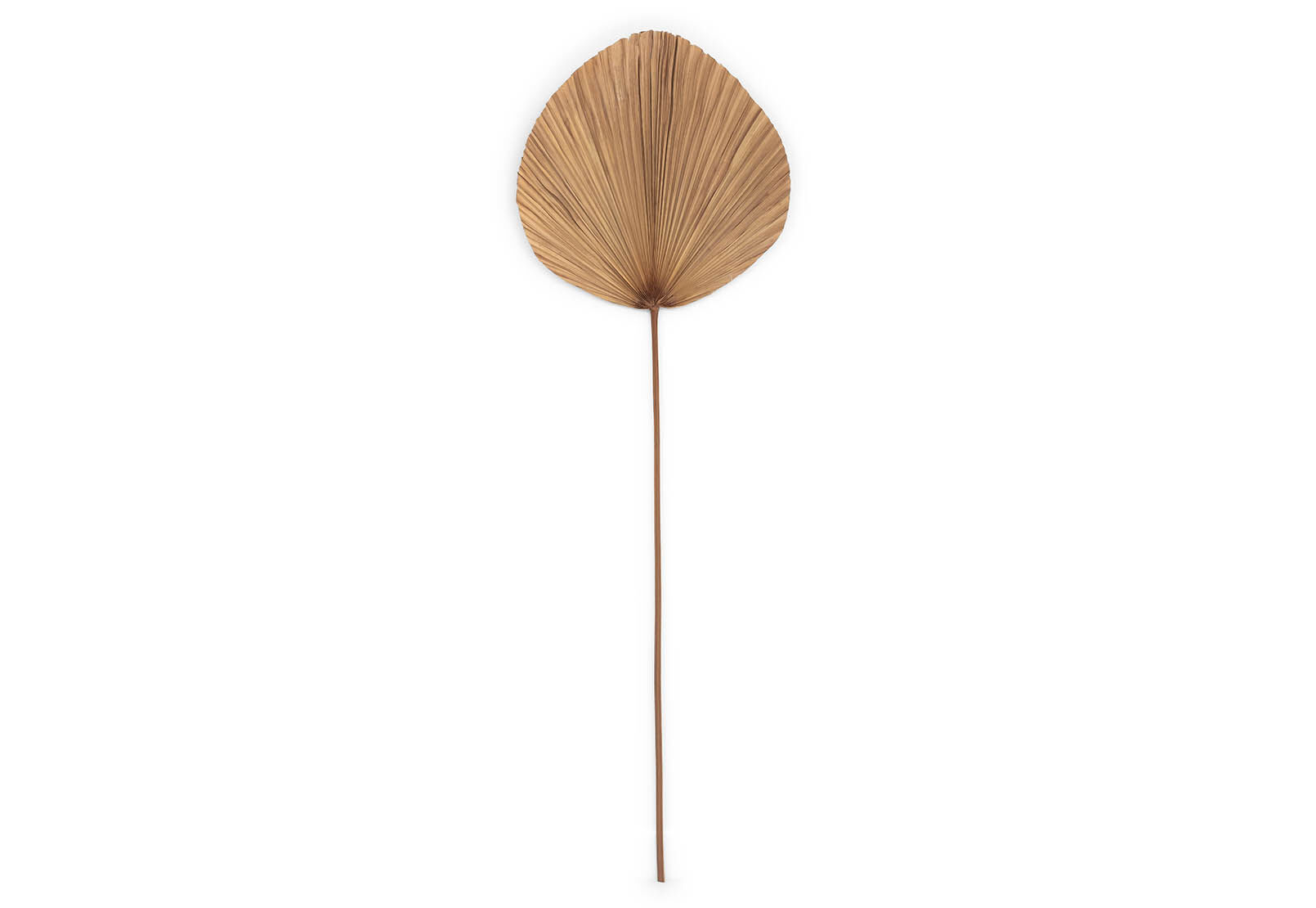 YANA - 150cm Deco Leaf YANA