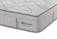 EXQUISITE SILVER FLEX PLUSH