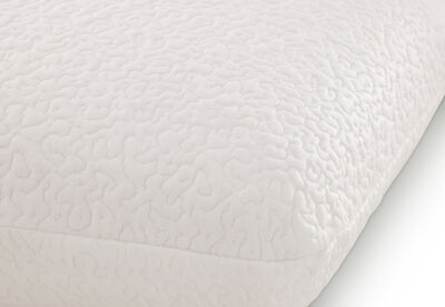 SEALY MEMORY REST - Traditional Pillow
