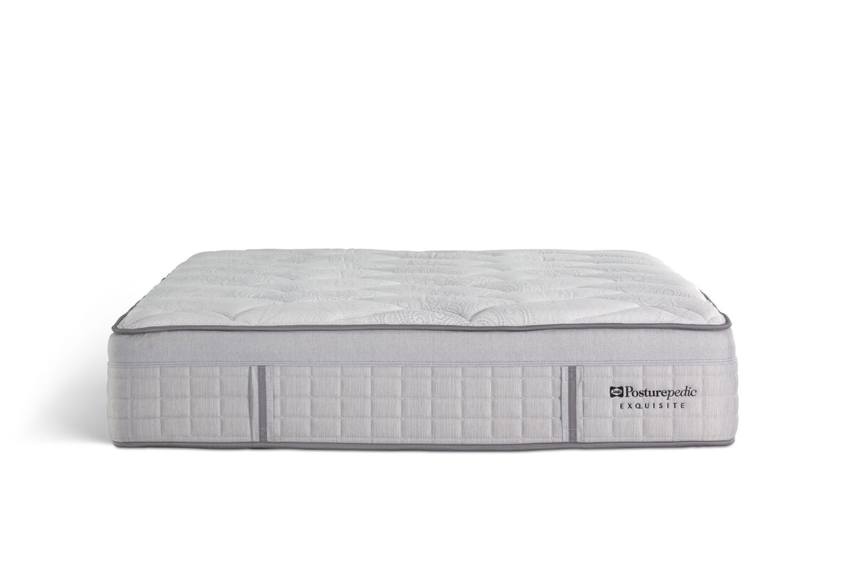 EXQUISITE SILVER FLEX PLUSH