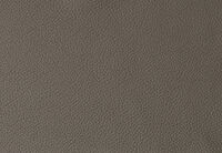DACIA LEATHER