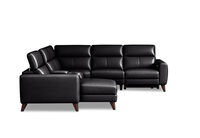 SPECTRA LEATHER