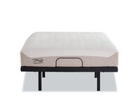 ORTHOKINETIC HYBRID FUSION MEDIUM