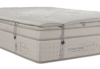 ORTHOKINETIC SIGNATURE BELLUCCI