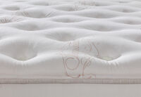 ORTHOKINETIC SIGNATURE GIORDANO