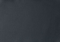 DACIA LEATHER