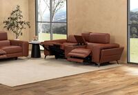 SINATRA LEATHER