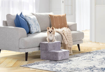 KELLEY - 2 Step Pet Stairs X-Small