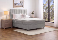 ACCLAIM RESTORE FLEX
