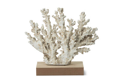 ELEA - 25CM Decorative Coral