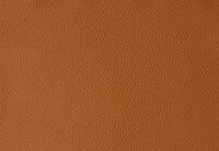 DACIA LEATHER