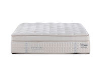 ORTHOKINETIC SIGNATURE GIORDANO