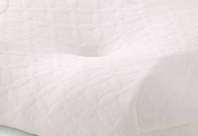 ORTHOKINETIC SIGNATURE - SILK BUTTERFLY PILLOW