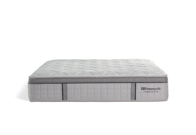 EXQUISITE SILVER FLEX MEDIUM - Base