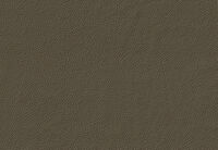 CARNABY LEATHER