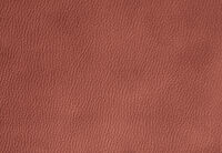 THANE FABRIC