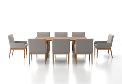 ROMULUS - 9 Piece Dining Suitewith Lazarus Dining Chairs
