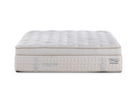 ORTHOKINETIC SIGNATURE GIORDANO