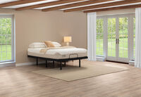 ORTHOKINETIC HYBRID FUSION FIRM