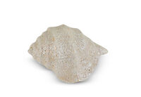 LEAFORA CERAMIC