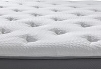 ORTHOKINETIC CONTESSA MEDIUM