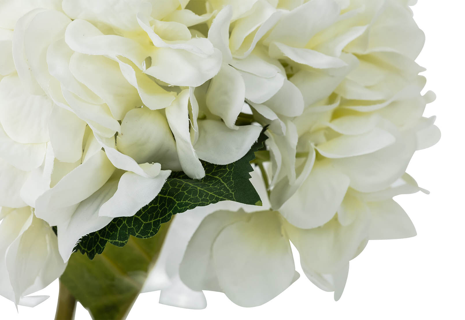 HYDRANGEA - Vase HYDRANGEA