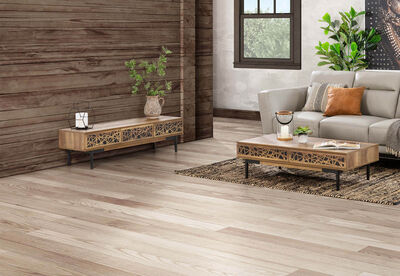 FERMO - Entertainment Unit