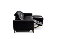 SPECTRA LEATHER
