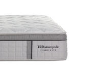 EXQUISITE SILVER FLEX MEDIUM
