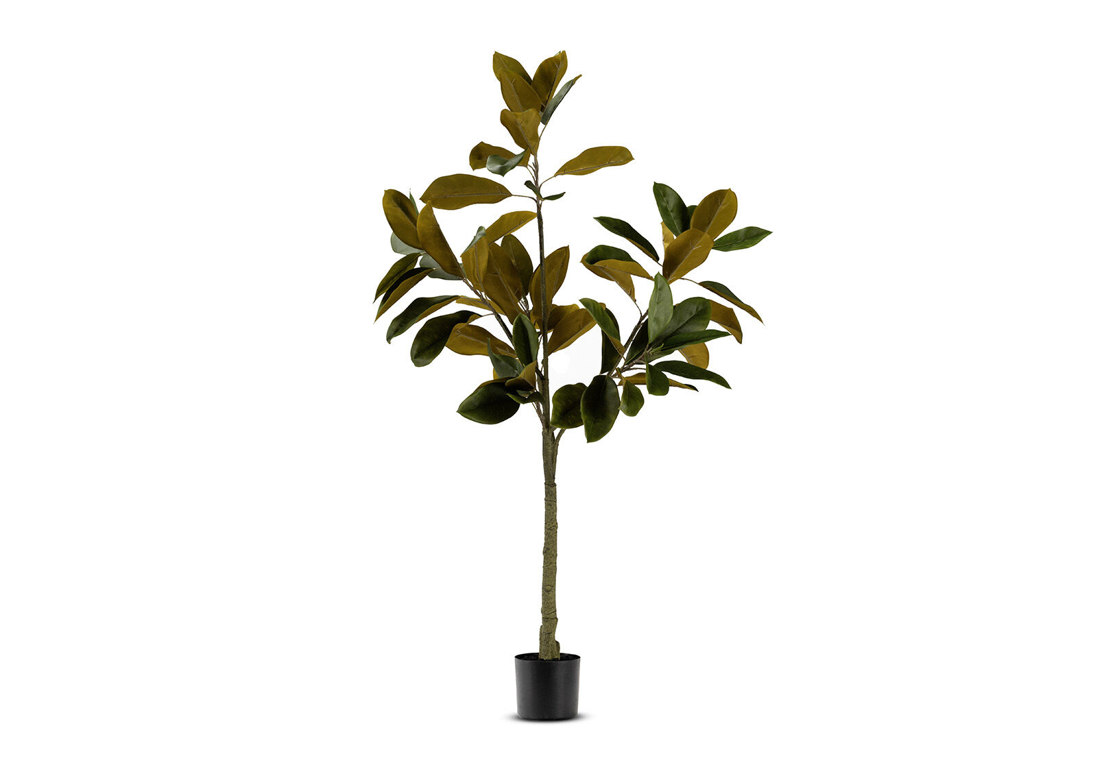 NOLIA TREE - 122CM Tree NOLIA TREE