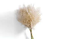 FRITA