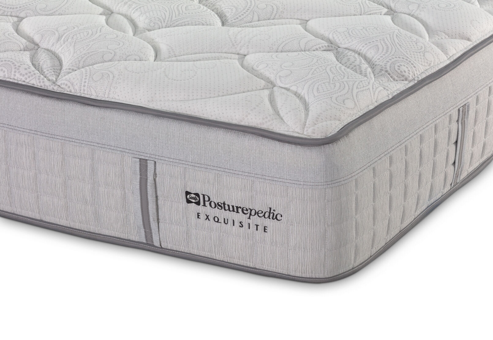 EXQUISITE SILVER FLEX PLUSH