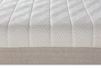 ORTHOKINETIC HYBRID FUSION MEDIUM