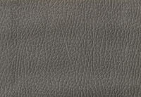 RODDICK FABRIC