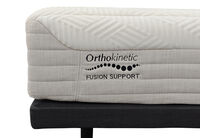 ORTHOKINETIC HYBRID FUSION FIRM