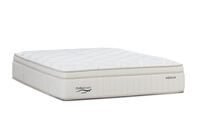 ORTHOKINETIC ASPEN MEDIUM