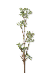 SPINDRA - BERRIES SPRAY SPINDRA