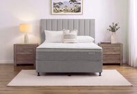 ACCLAIM RESTORE FLEX