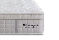 EXQUISITE GOLD MEDIUM - Extra Long Single Mattress (MTO) EXQUISITE GOLD MEDIUM