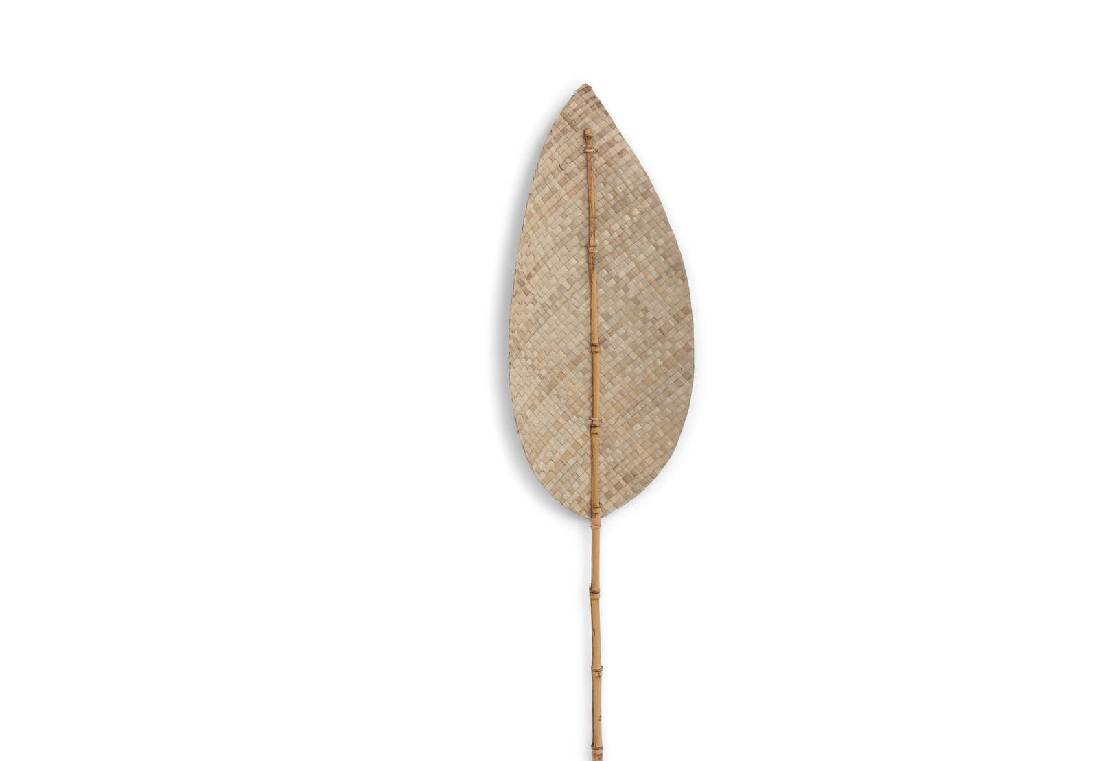 ANWAR - 180cm Natural Deco Leaf ANWAR