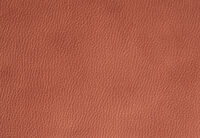 AGASSI FABRIC
