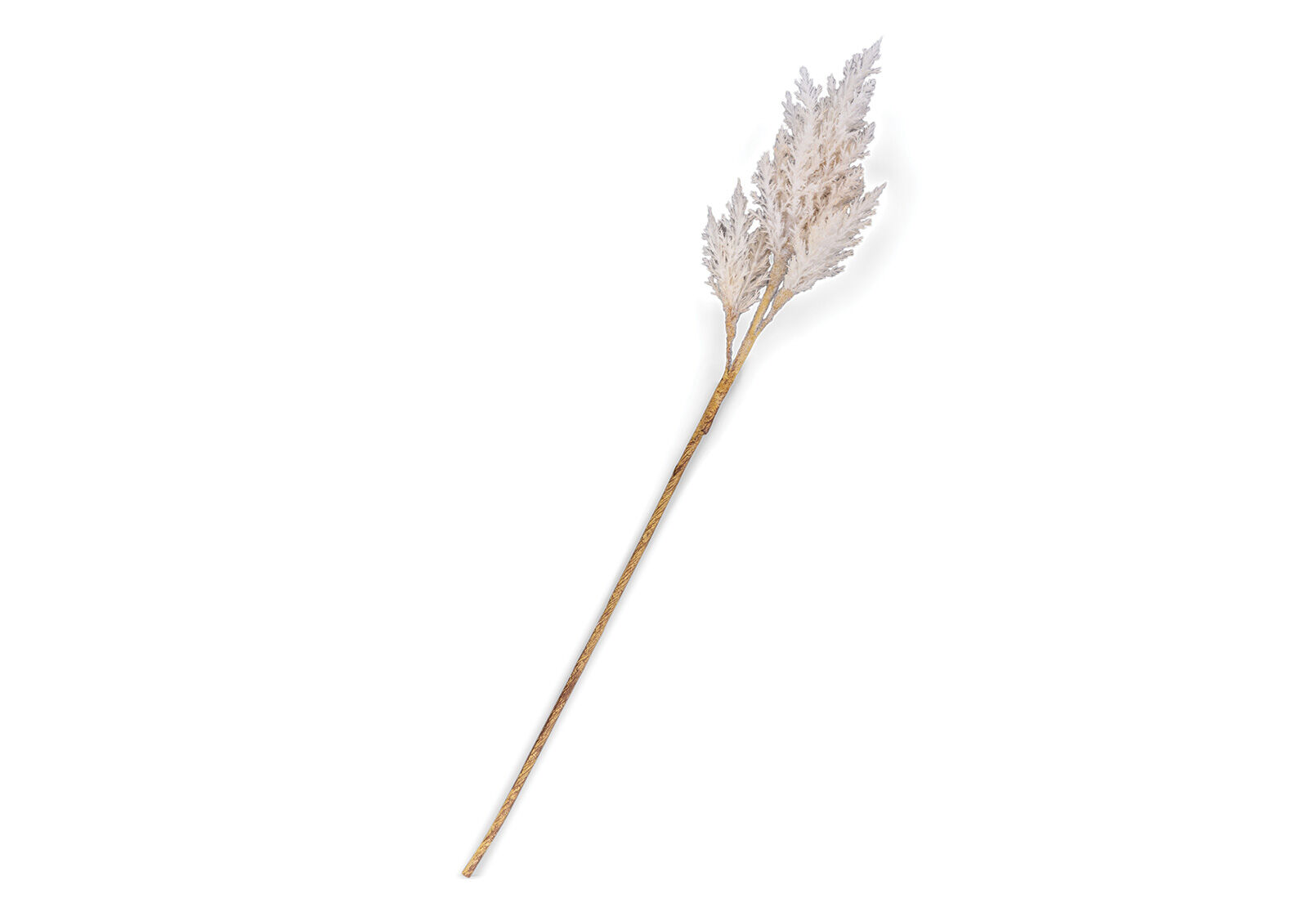 ASTILBE - 82cm Stem ASTILBE
