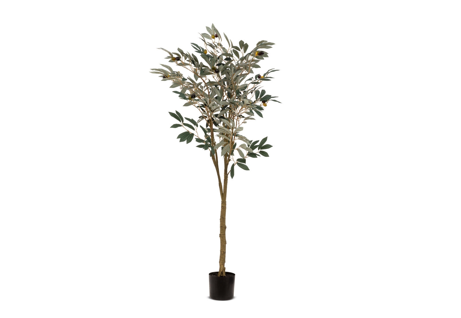 OLIVE TREE - 150CM Tree OLIVE TREE