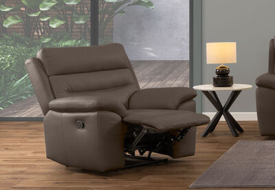 BEARMAN LEATHER - Recliner