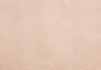 TRAVIS FABRIC