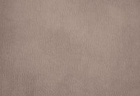 THANE FABRIC