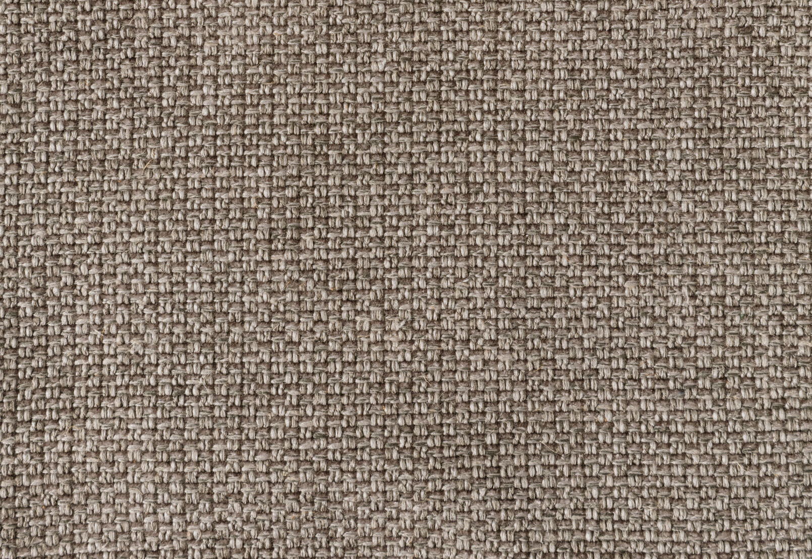 LEONE FABRIC